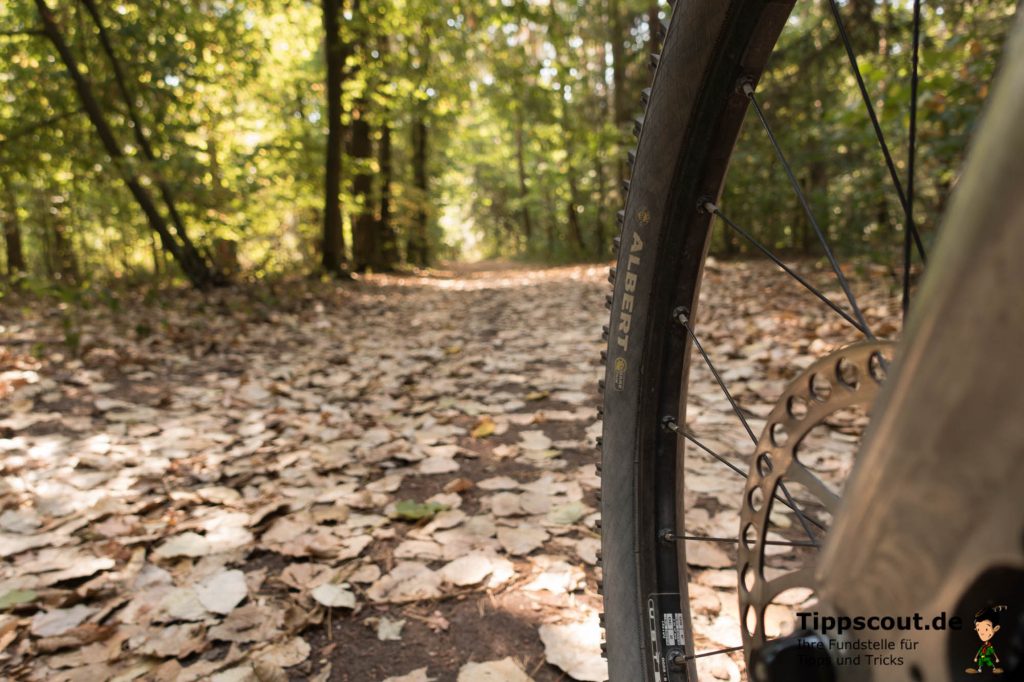 Mit dem Rad in den Wald. Das schafft nicht nur frische Luft, sondern auch viel Bewegung. Mit dem Rad in den Wald. Das schafft nicht nur frische Luft, sondern auch viel Bewegung.