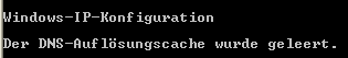 Den DNS-Auflösungscache mit ipconfig /flushdns löschen