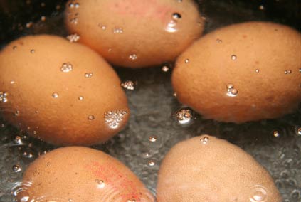 Braune Eier in kochendem Wasser - (Foto: iStockphoto/Andrew Kerr) Braune Eier in kochendem Wasser - (Foto: iStockphoto/Andrew Kerr)