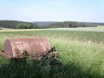 Die Walze dient als Blickfang - (Foto: Martin Goldmann) Die Walze dient als Blickfang - (Foto: Martin Goldmann)