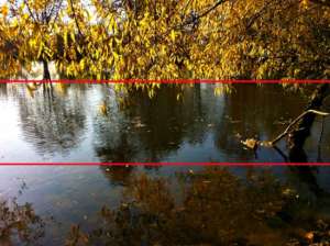 Baum mit gelben Blättern an Flussufer - (Foto: Martin Goldmann)