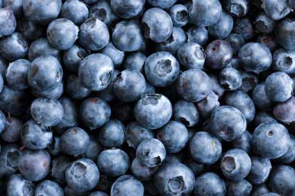 Blaubeeren in Nahaufnahme - (Foto: iStockphoto/Joanna Pecha) Blaubeeren in Nahaufnahme - (Foto: iStockphoto/Joanna Pecha)