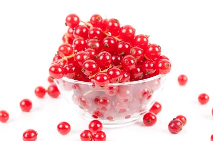 Johannisbeeren in einer Schüssel