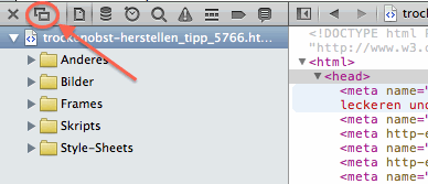 Symbolleiste des Entwickler-Moduls im Safari Symbolleiste des Entwickler-Moduls im Safari