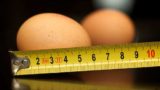 Eier ausmessen