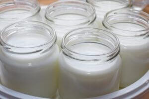 Joghurt selber machen in Gläsern - (Foto: iStockphoto/letty17)