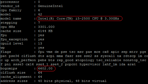 Linux CPU-Info