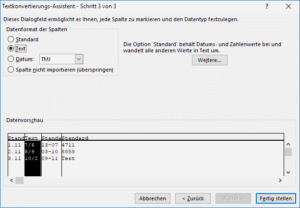 Textkonvertierungsassistent Typzuweisung je Spalte