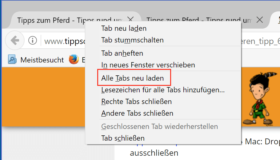 Webseiten neu laden in Firefox