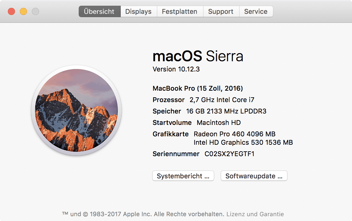 Systeminformationen des Mac