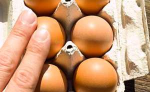 Eier testen indem man sie mit der Hand vorsichtig bewegt - (Foto: Martin Goldmann) Eier prüfen auf Risse in der Schale