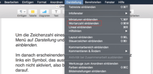 Menü Darstellung - Wortanzahl in Apple Pages