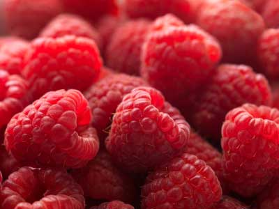 Himbeeren