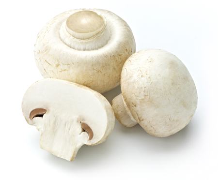 Weiße Champignons