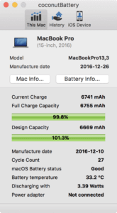 Screenshot des Utilties coconutBattery mit Informationen über das Baudatum