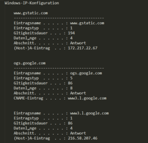 Der Inhalt des DNS-Cache als Textdatei.