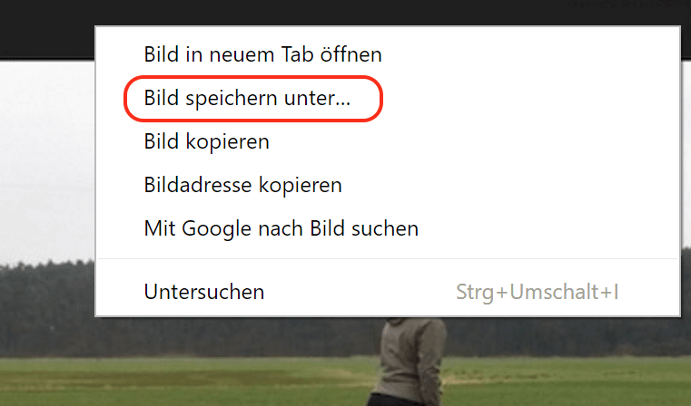 Bilder aus dem Internet speichern mit Google Chrome