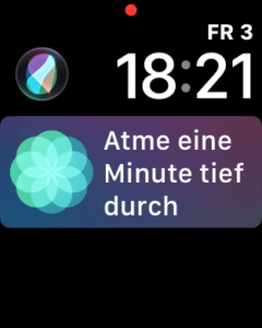 Der rote Punkt auf dem Display der Apple Watch