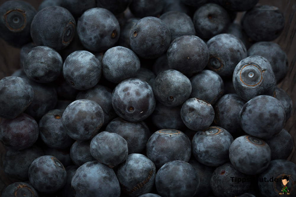 Heidelbeeren einfrieren